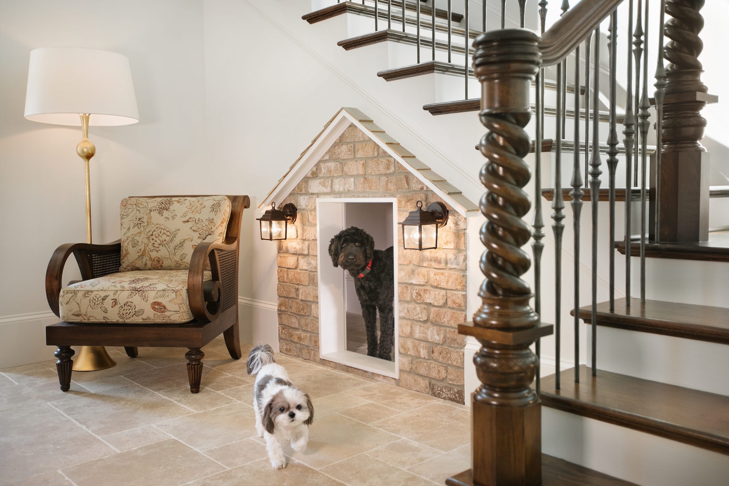Take the Stairs: It’s a Dog’s World