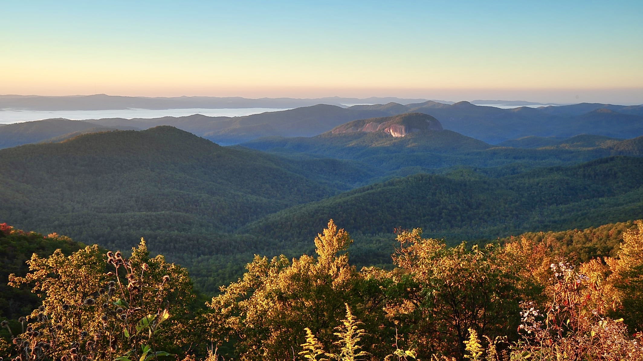 (Fall)ing for the Blue Ridge Parkway: The Carolina Edition